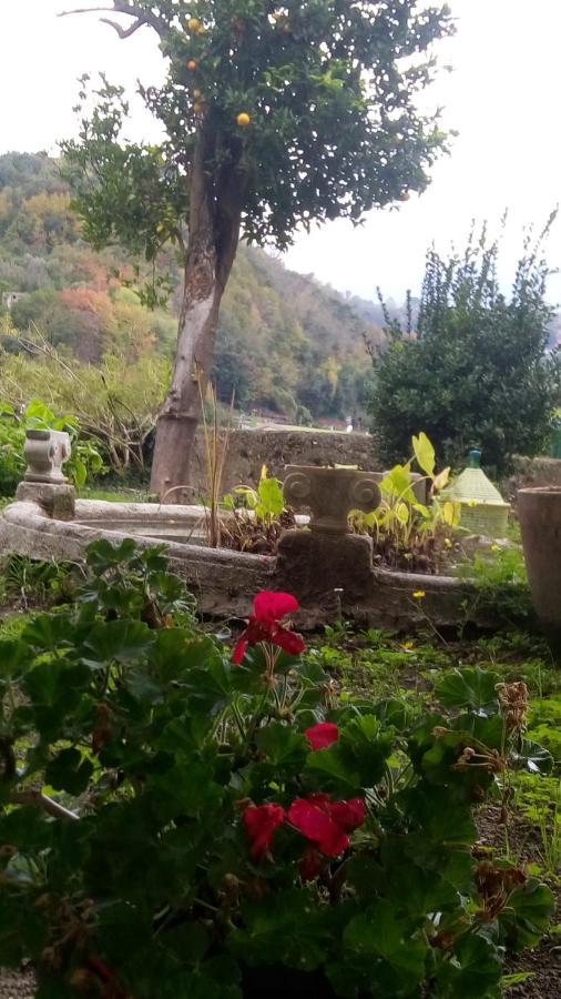 Bed and Breakfast L'Antico Giardino Vietri Exterior foto